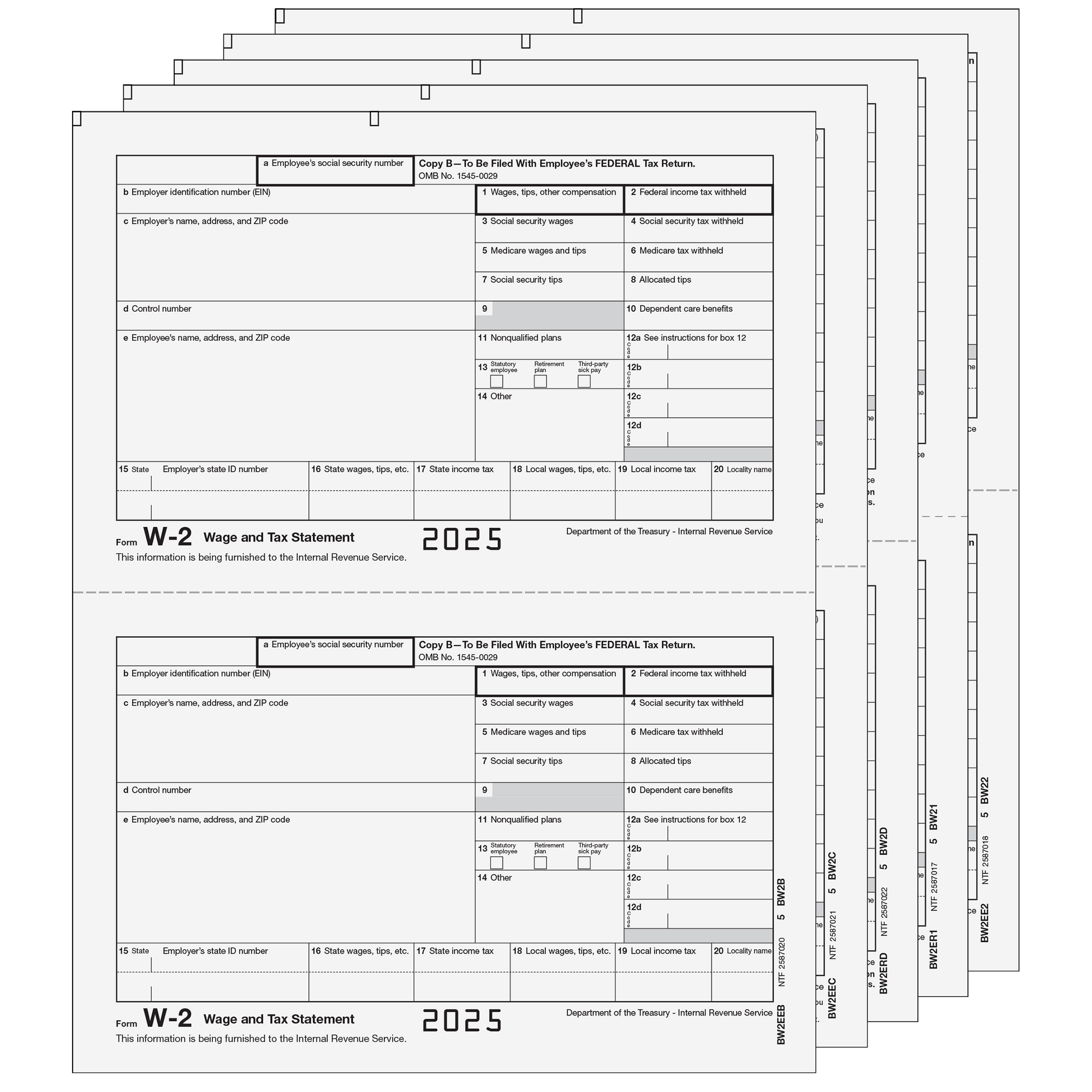 W-2 Traditional 2up E-file Laser Set - 5pt