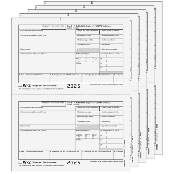 W-2 Traditional 2up E-file Laser Set - 5pt