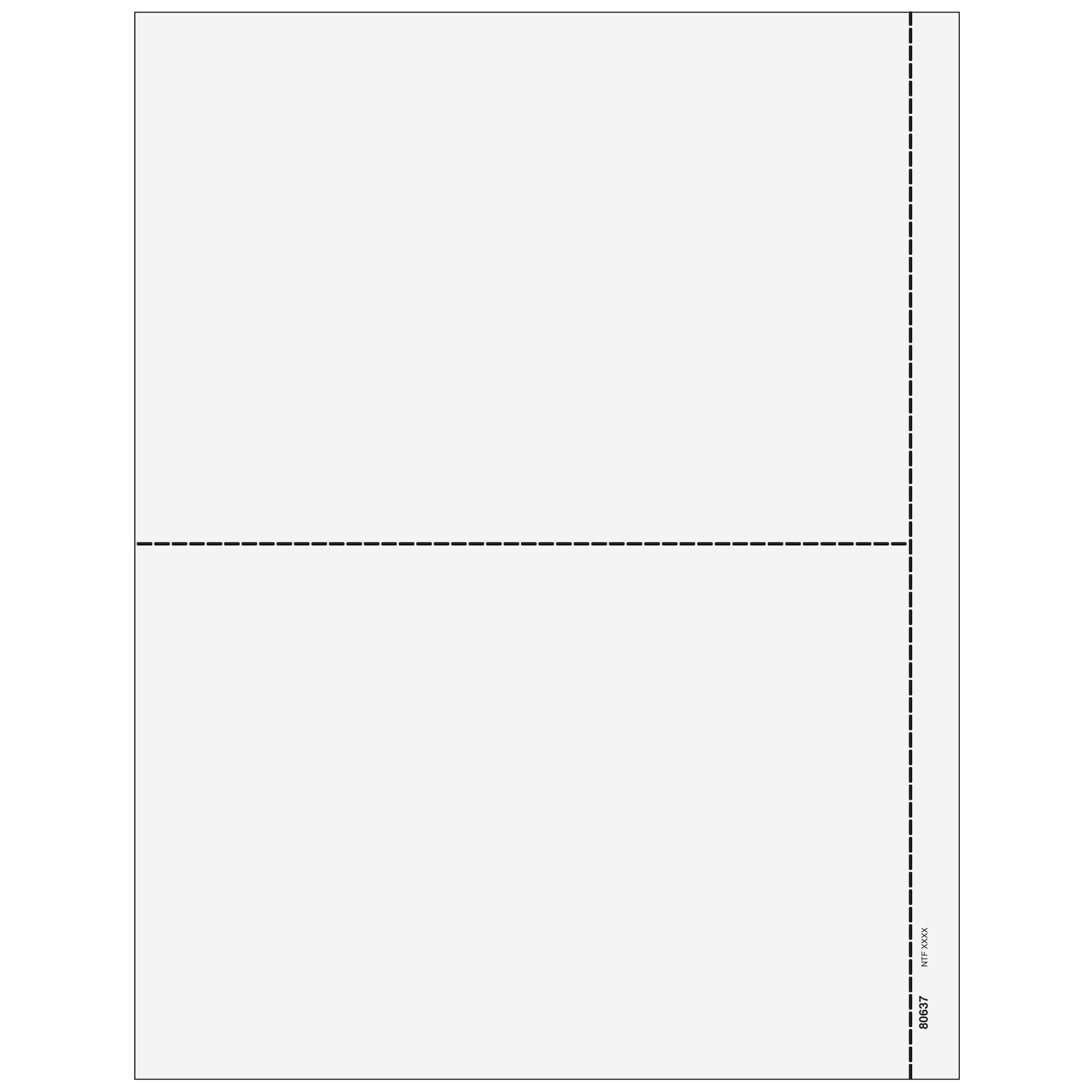 2up Blank Laser Paper w/ 1/2" side perf for 1042-S
