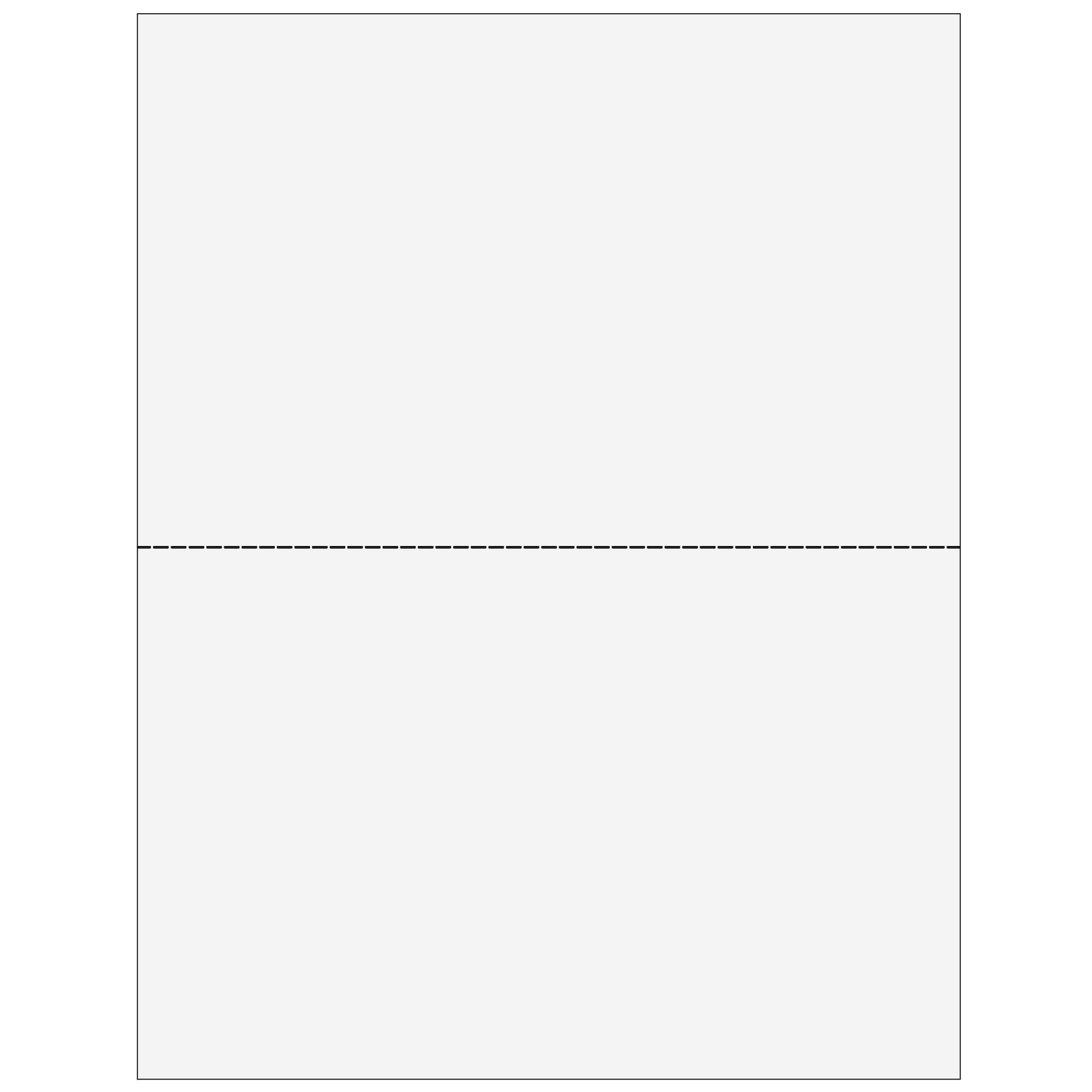 2up Blank Laser Paper w/ 1099-MISC instructions on top panel